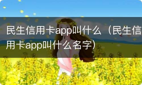 民生信用卡app叫什么（民生信用卡app叫什么名字）