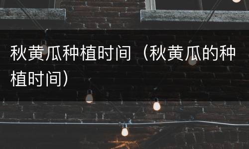 秋黄瓜种植时间（秋黄瓜的种植时间）