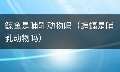鲸鱼是哺乳动物吗（蝙蝠是哺乳动物吗）