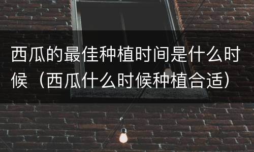 西瓜的最佳种植时间是什么时候（西瓜什么时候种植合适）