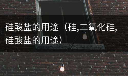 硅酸盐的用途（硅,二氧化硅,硅酸盐的用途）