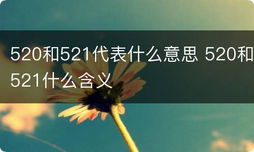 520和521代表什么意思 520和521什么含义