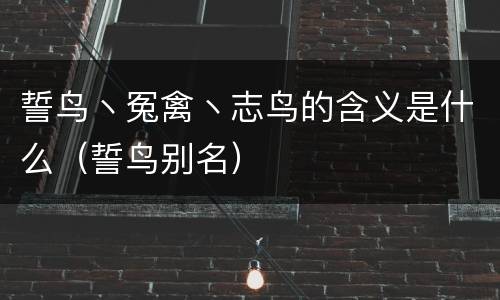 誓鸟丶冤禽丶志鸟的含义是什么（誓鸟别名）