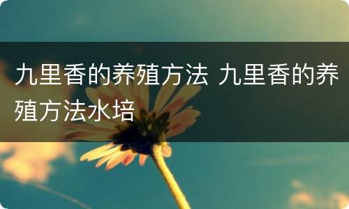 九里香的养殖方法 九里香的养殖方法水培