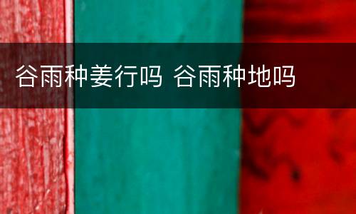 谷雨种姜行吗 谷雨种地吗