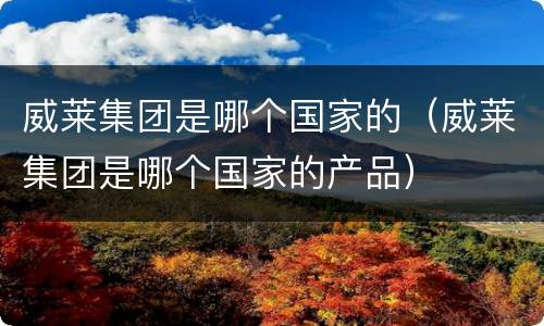 威莱集团是哪个国家的（威莱集团是哪个国家的产品）