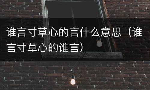 谁言寸草心的言什么意思（谁言寸草心的谁言）
