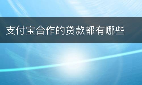 支付宝合作的贷款都有哪些