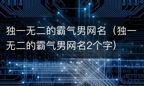 独一无二的霸气男网名（独一无二的霸气男网名2个字）