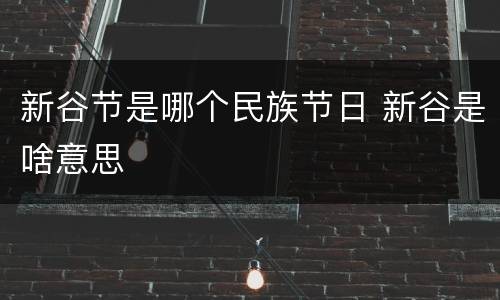 新谷节是哪个民族节日 新谷是啥意思