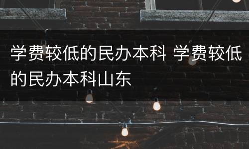 学费较低的民办本科 学费较低的民办本科山东