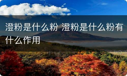 澄粉是什么粉 澄粉是什么粉有什么作用