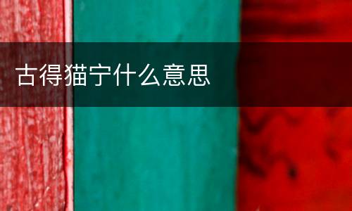 古得猫宁什么意思