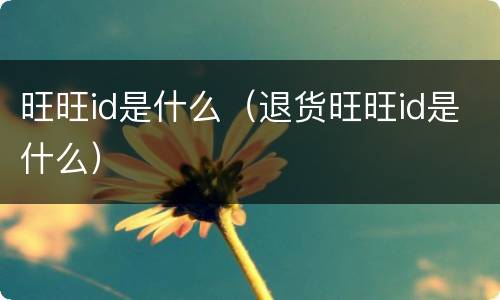 旺旺id是什么（退货旺旺id是什么）
