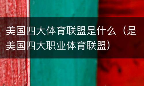 美国四大体育联盟是什么（是美国四大职业体育联盟）