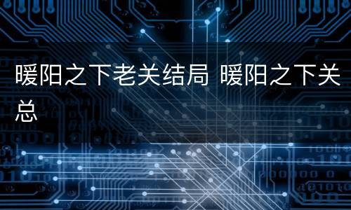 暖阳之下老关结局 暖阳之下关总