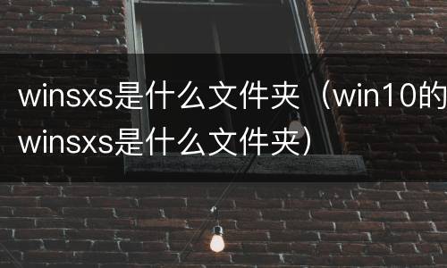 winsxs是什么文件夹（win10的winsxs是什么文件夹）