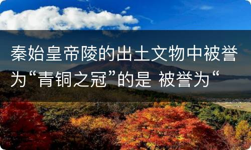 秦始皇帝陵的出土文物中被誉为“青铜之冠”的是 被誉为“青铜之冠”的是什么