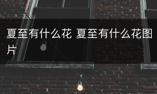 夏至有什么花 夏至有什么花图片