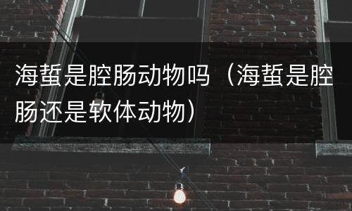 海蜇是腔肠动物吗（海蜇是腔肠还是软体动物）