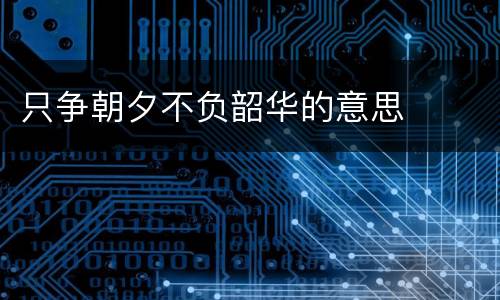 只争朝夕不负韶华的意思