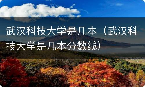 武汉科技大学是几本（武汉科技大学是几本分数线）