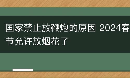 国家禁止放鞭炮的原因 2024春节允许放烟花了