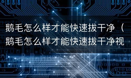 鹅毛怎么样才能快速拔干净（鹅毛怎么样才能快速拔干净视频）
