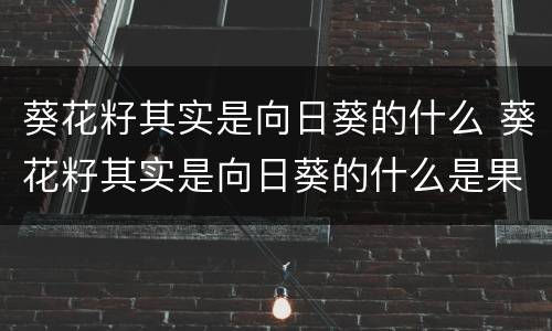 葵花籽其实是向日葵的什么 葵花籽其实是向日葵的什么是果实还是根