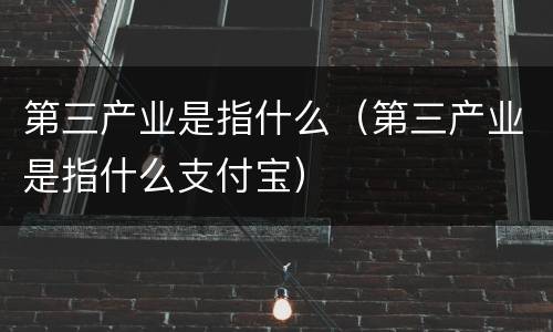 第三产业是指什么（第三产业是指什么支付宝）