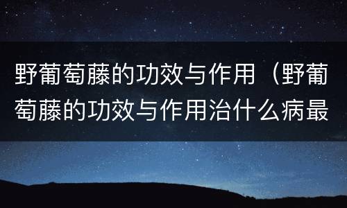 野葡萄藤的功效与作用（野葡萄藤的功效与作用治什么病最好）