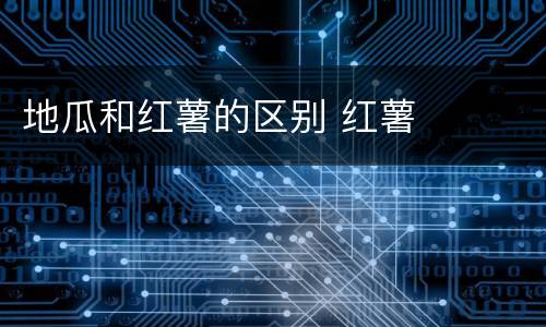 地瓜和红薯的区别 红薯
