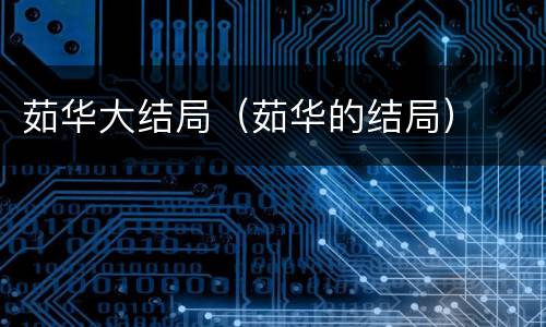 茹华大结局（茹华的结局）
