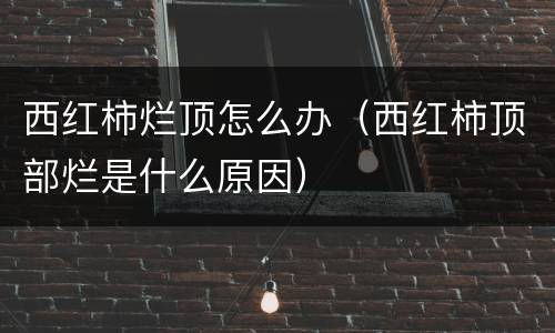 西红柿烂顶怎么办（西红柿顶部烂是什么原因）