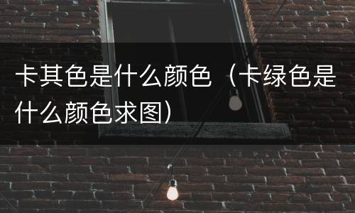 卡其色是什么颜色（卡绿色是什么颜色求图）