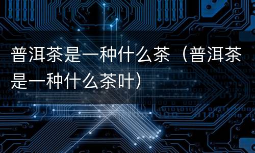 普洱茶是一种什么茶（普洱茶是一种什么茶叶）