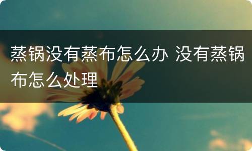 蒸锅没有蒸布怎么办 没有蒸锅布怎么处理
