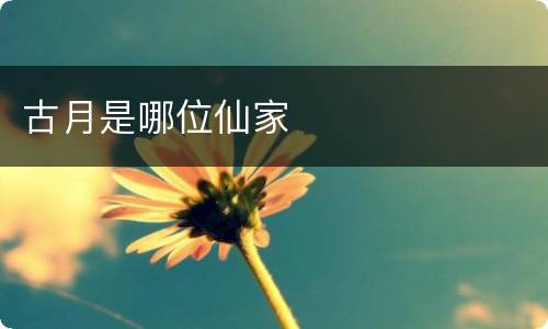古月是哪位仙家