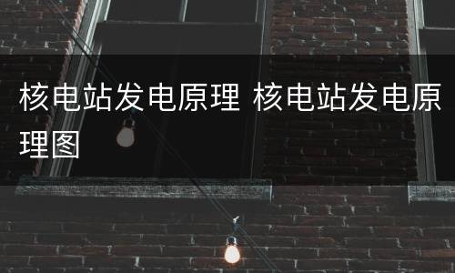 核电站发电原理 核电站发电原理图