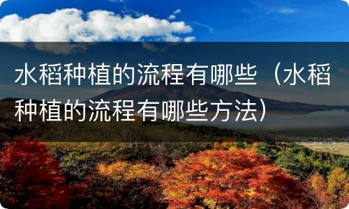 水稻种植的流程有哪些（水稻种植的流程有哪些方法）