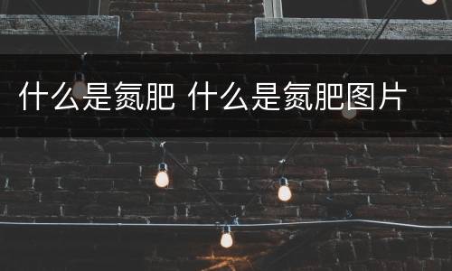 什么是氮肥 什么是氮肥图片