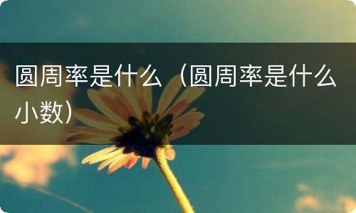 圆周率是什么（圆周率是什么小数）