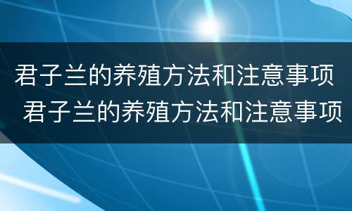 君子兰的养殖方法和注意事项 君子兰的养殖方法和注意事项君子兰浇水