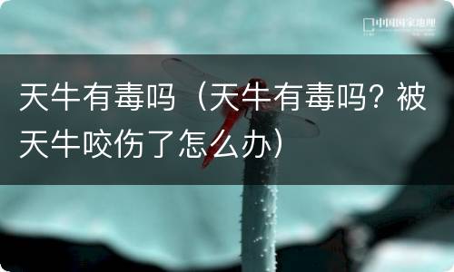 天牛有毒吗（天牛有毒吗? 被天牛咬伤了怎么办）