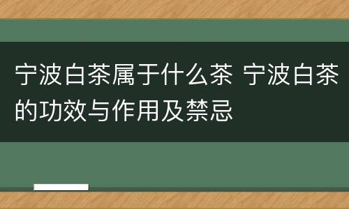 宁波白茶属于什么茶 宁波白茶的功效与作用及禁忌