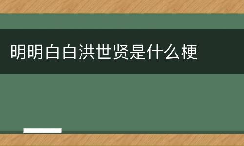 明明白白洪世贤是什么梗