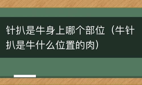 针扒是牛身上哪个部位（牛针扒是牛什么位置的肉）