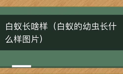 白蚁长啥样（白蚁的幼虫长什么样图片）