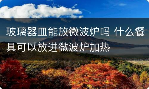 玻璃器皿能放微波炉吗 什么餐具可以放进微波炉加热