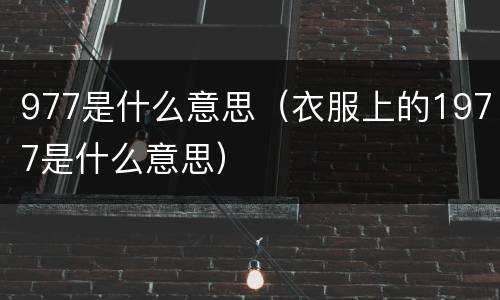 977是什么意思（衣服上的1977是什么意思）